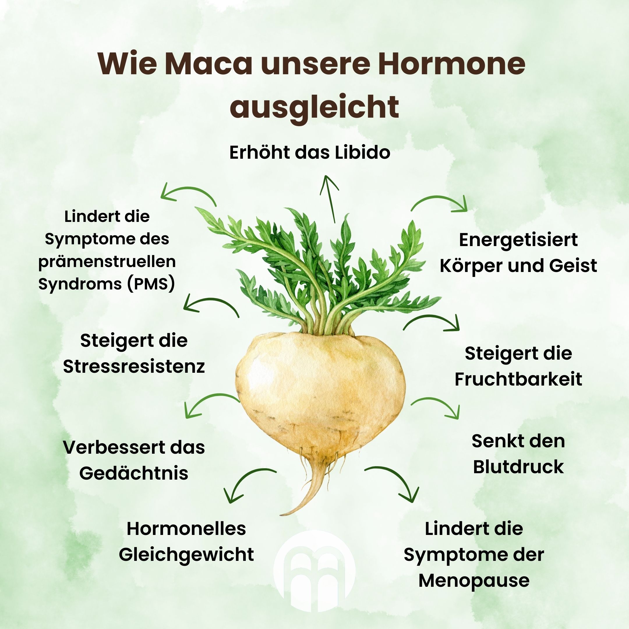maca